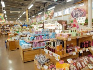 マンゴーがおいしい道の駅宮古島