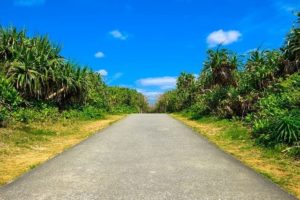 宮古島ののどかな道