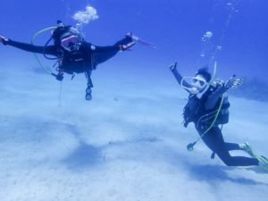 小浜島の海でダイビングをする人