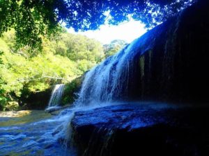 西表島のサンガラの滝