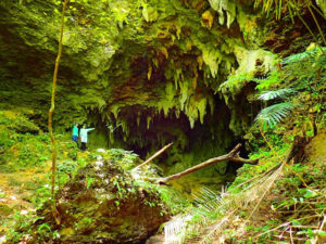 西表島の秘境地にある洞窟