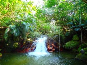 石垣島の荒川の滝