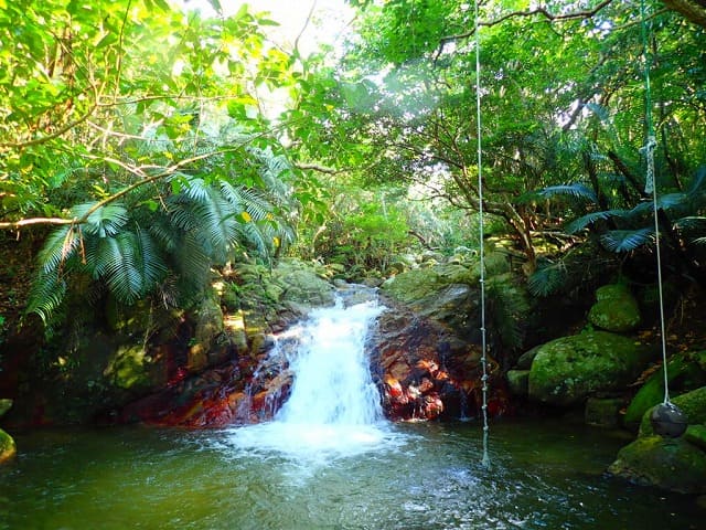 ターザンができる荒川の滝