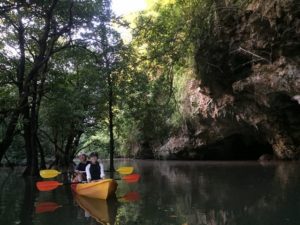 宮良川の奥地にある穴場の洞窟