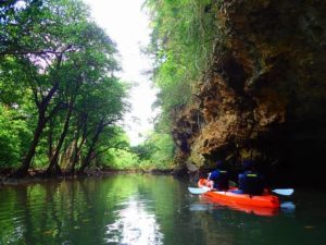洞窟を見られる宮良川のマングローブカヤック