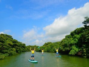 西表島の宮良川でSUPをする人達