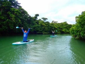 石垣島のマングローブカヤック