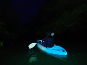真っ暗な夜の中ナイトマングローブカヌーに参加