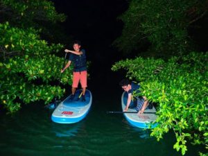石垣島のナイトマングローブSUPを楽しむ男子旅