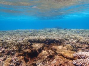 宮古島の透明度抜群のシギラビーチ