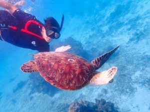 女子旅でウミガメシュノーケリング