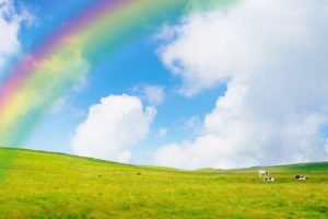 虹と牧場