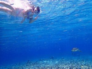 小浜島の透明な海でシュノーケリング