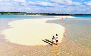 7月の時期に宮古島ゆにの浜上陸