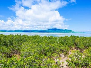 小浜島の細崎