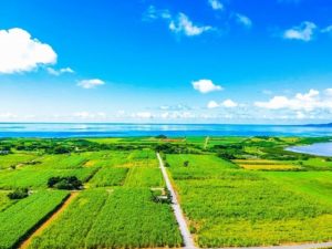 小浜島の大岳からの景色