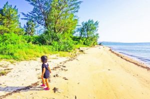 小浜島のビーチで遊ぶ子供