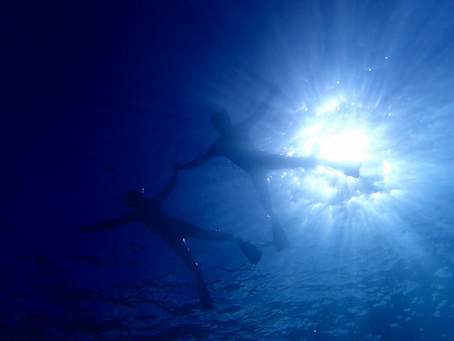 青の洞窟周辺の熱帯魚が沢山いる海