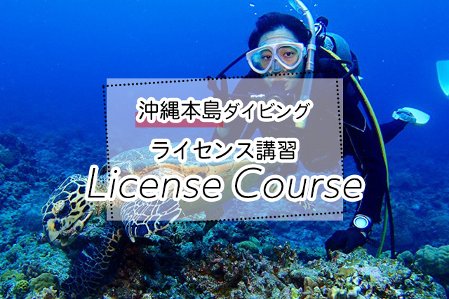 沖縄のライセンス講習ダイビングツアー一覧