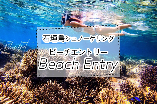 石垣島のビーチエントリーシュノーケリングツアー一覧