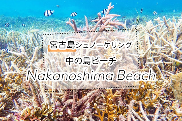 宮古島の中の島ビーチシュノーケリングツアー一覧