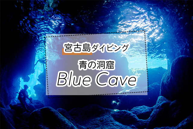 宮古島の青の洞窟ダイビングツアー一覧