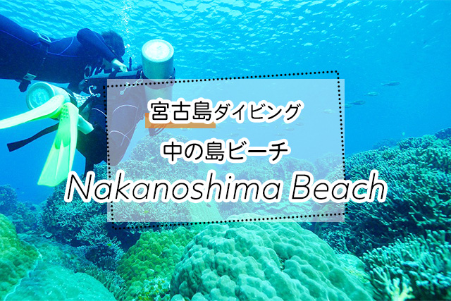 宮古島の中の島ビーチダイビングツアー一覧