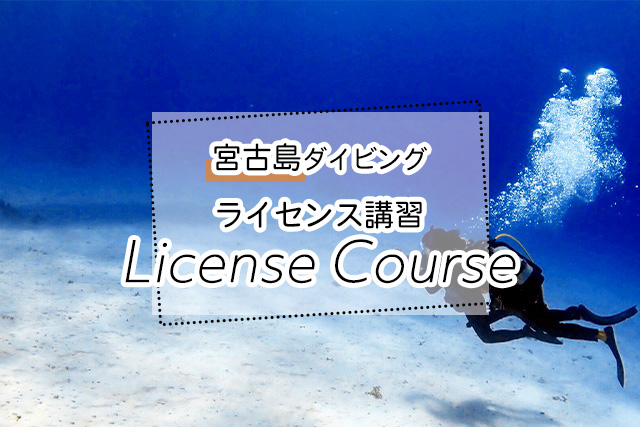 宮古島のダイビングライセンス講習ツアー一覧