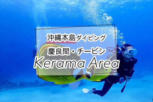 沖縄の慶良間・チービシ諸島ダイビングツアー一覧