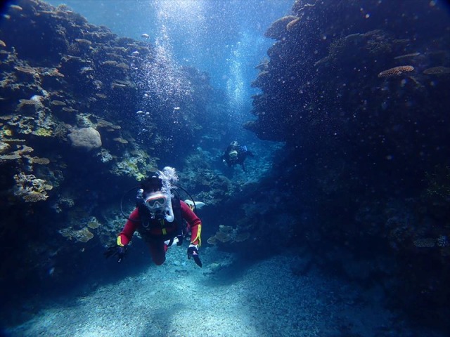 ファンダイビング２DIVES チケット \u003c石垣島 川平\u003e No.061