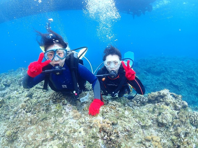 ケラマブルーの海で楽しむ体験ダイビング