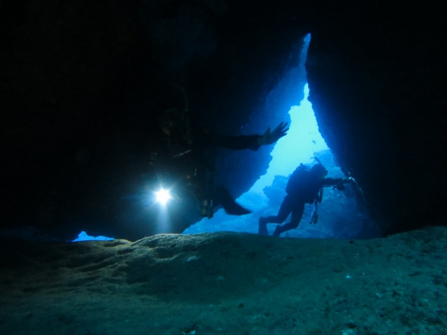 ハタンポの群れが洞窟の入り口では迎えてくれる