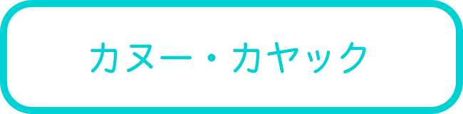 西表島の時間帯別カヌーツアー一覧