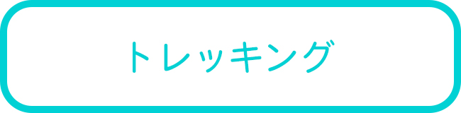 西表島のクーラの滝トレッキングツアー一覧