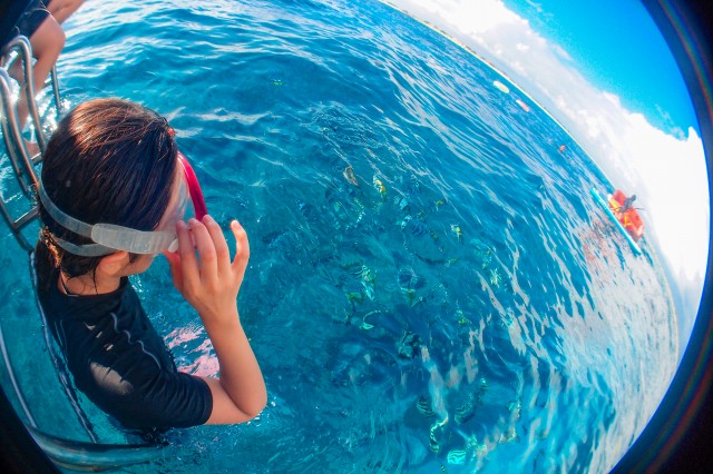 ケラマ諸島の海へダイブする女性