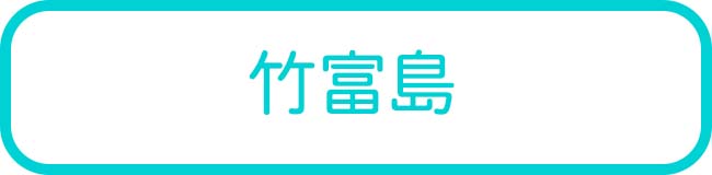 竹富島の離島周遊・観光ツアー一覧