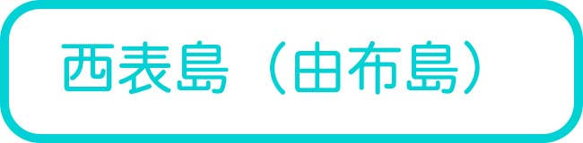 西表島の離島周遊・観光ツアー一覧