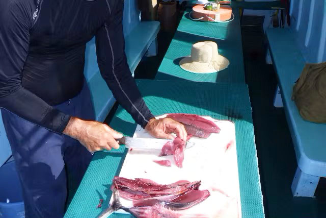 【宮古島】サンゴ礁シュノーケリング＆シーカヤック【船上でのカツオ解体ショー＆食べ放題付き】（mi-066）