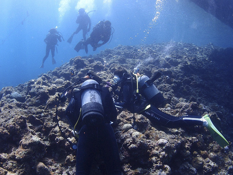 【沖縄本島】青の洞窟で体験ダイビング！完全貸切で初心者も安心
