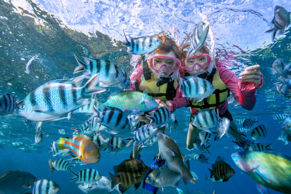 【沖縄本島】青の洞窟シュノーケル & 美ら海水族館チケットセットプラン