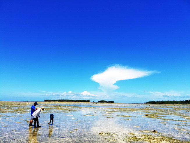 【沖縄・久米島】幻の道トレッキングで無人島とサンゴ礁を探検