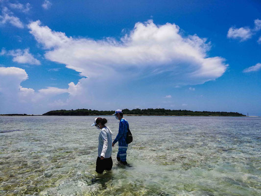 【沖縄・久米島】ビーチから冒険へ！リーフエッジシュノーケリングで、サンゴ海の美しさを満喫 