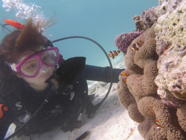 30分のダイビングで、感動の海中体験