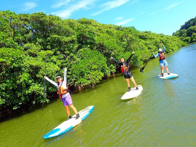 午前はマングローブ(カヌーor SUP)で秘境のジャングル探検